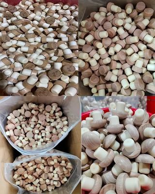 Customized Shape Wooden and Rubber Wine Stoppers OEM/ODM for Bottle Sealing Plug